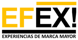 imagen3